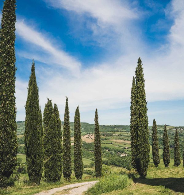 le-vie-del-carducci.jpg