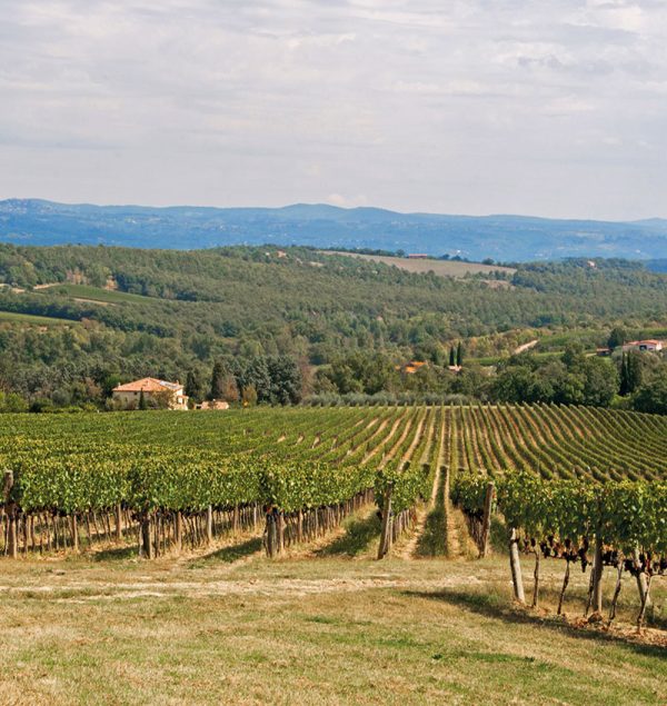 le-vigne.jpg